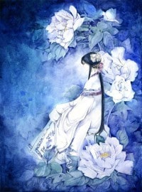 傻子的王妃